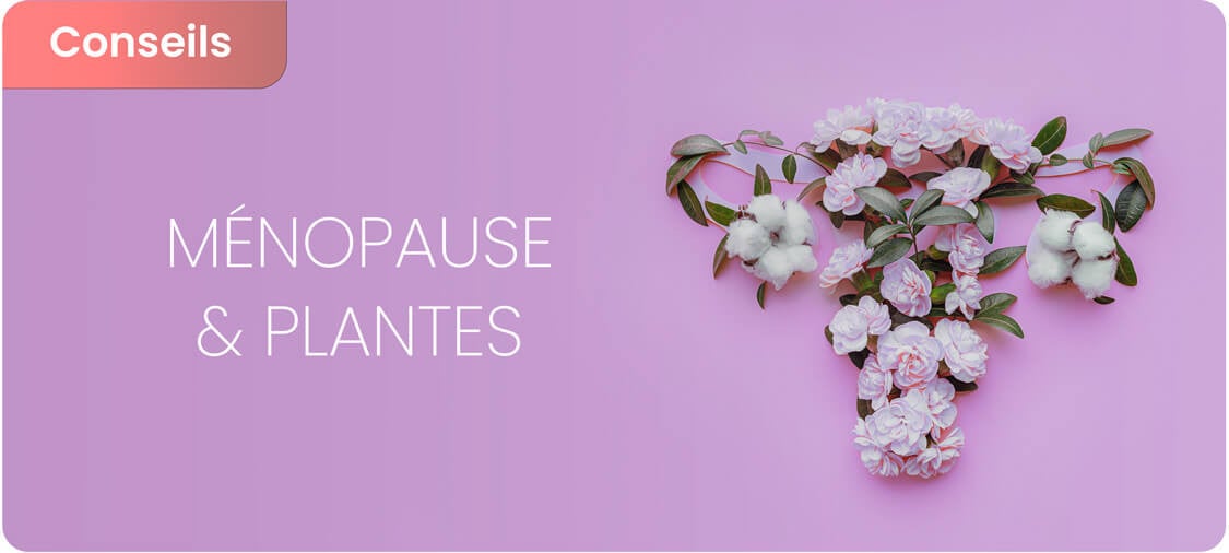 Ménopause et plantes : Approche de la naturopathie