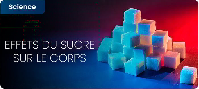 Les effets du sucre sur le corps