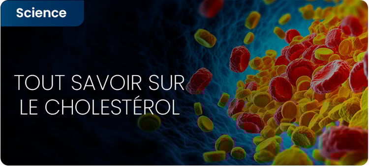 Les causes et conséquences du cholestérol