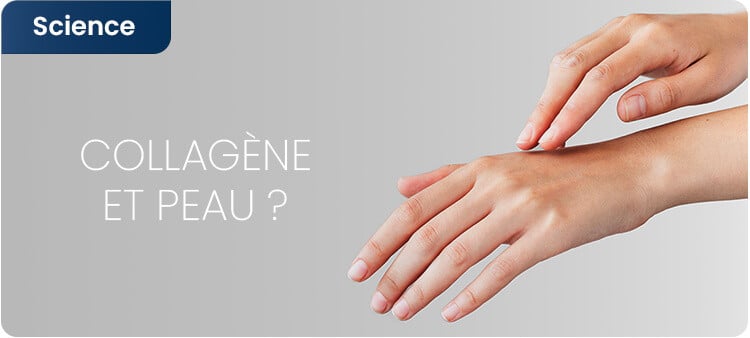 Collagène et peau