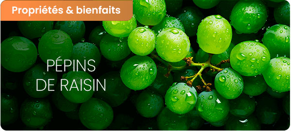 Les vertus du pépin de raisin