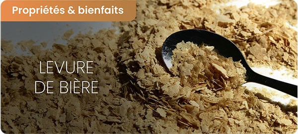 Bienfaits de la levure de bière