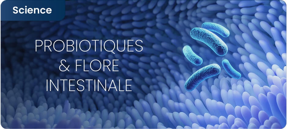 Comment les probiotiques agissent sur la flore intestinale ?