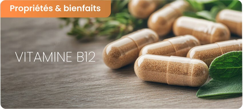 Bienfaits de la vitamine B12 et ses effets secondaires