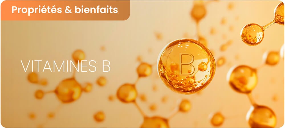 Bienfaits des Vitamines B