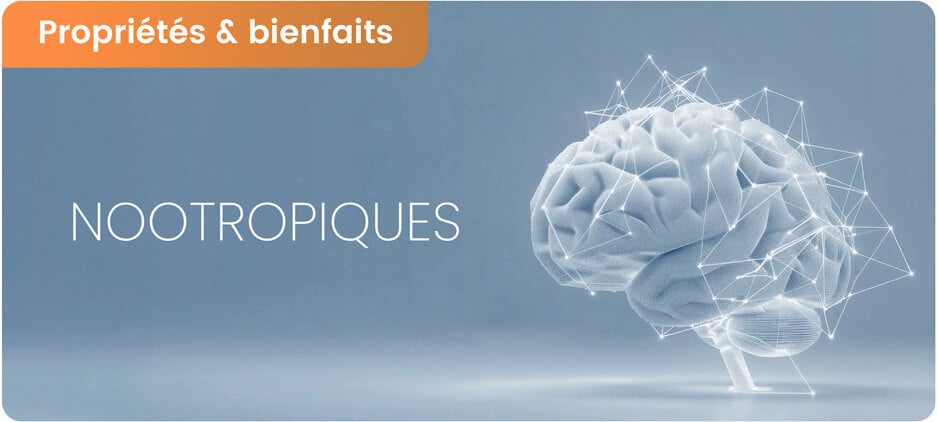 Nootropiques : bienfaits, dangers & définitions