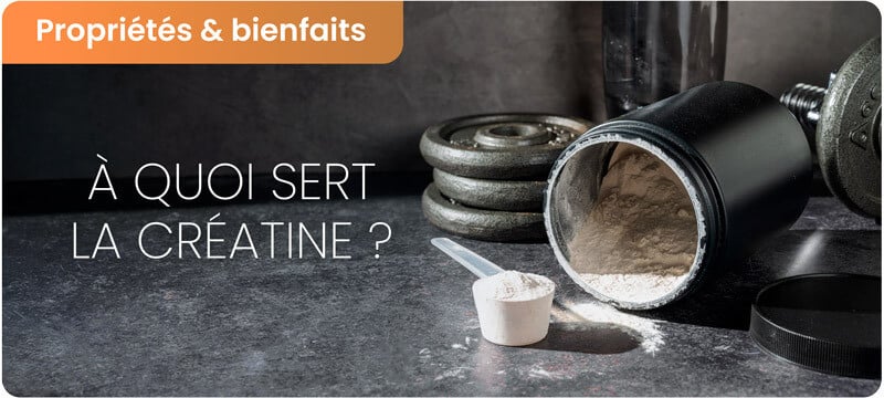 À quoi sert la créatine et quels sont ses effets ?