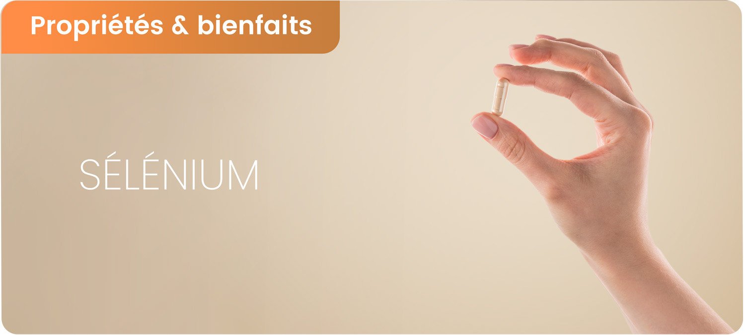 Bienfaits du sélénium et ses dangers selon les études scientifiques