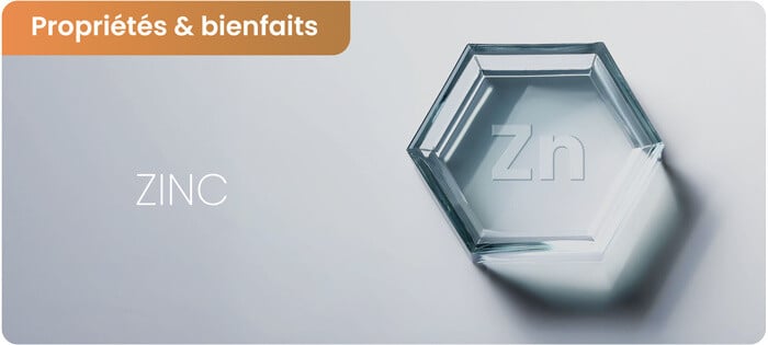 Bienfaits et effets secondaires du zinc