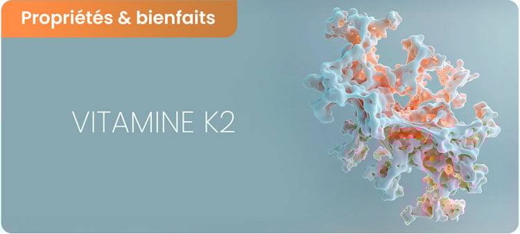 Bienfaits de la vitamine K2