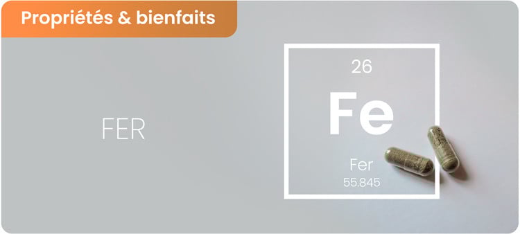 Les bienfaits du fer