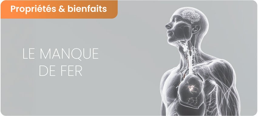 Manque de fer : causes, dangers et comment y remédier