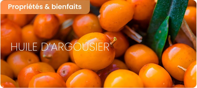 Huile argousier bienfaits et effets secondaires