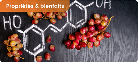 Les différentes qualités de Resveratrol