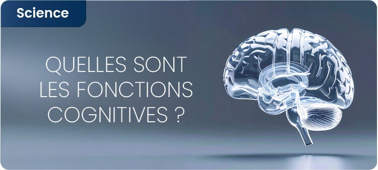 Quelles sont les fonctions cognitives ?