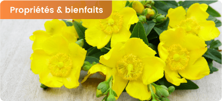 La mélatonine : horloge biologique, sommeil, posologie et contre-indications