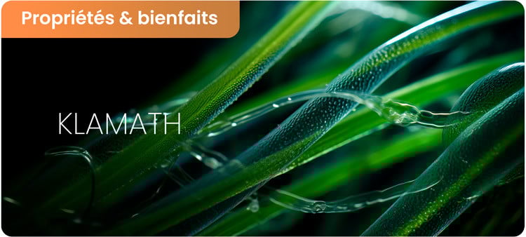 Bienfaits de la klamath et ses dangers potentiels