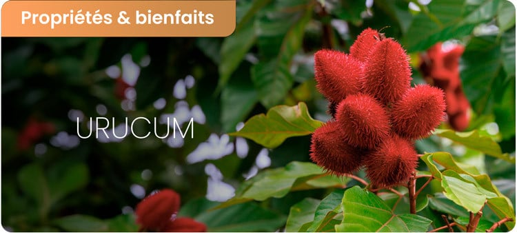 Bienfaits de l’urucum pour la peau