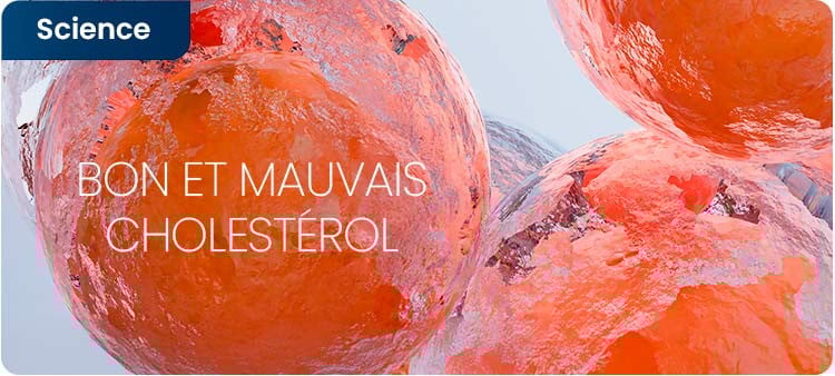 Bon et mauvais cholestérol