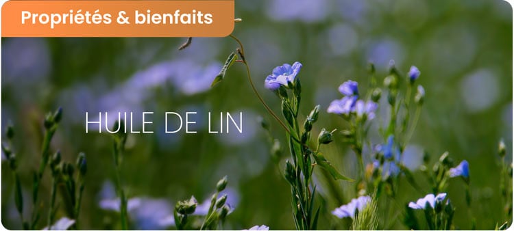 Les bienfaits de huile de lin