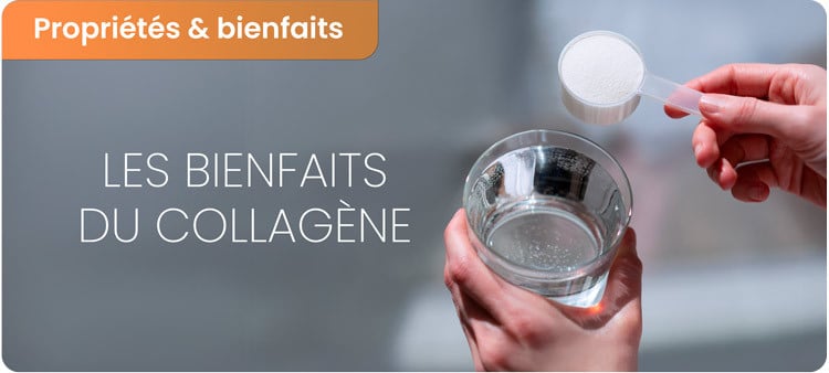 Bienfaits du collagène marin