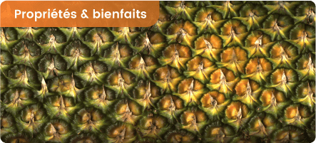 Bienfaits et contre-indications de la Bromélaïne