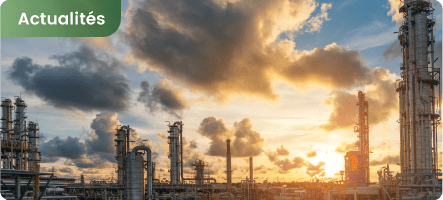 Hydrocarbures aromatiques polycycliques (HAP) : Pourquoi faut-il les contrôler ?