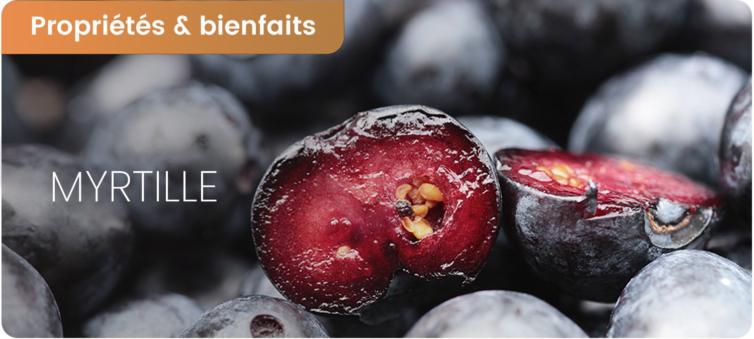 Bienfaits et contre-indications de la myrtille