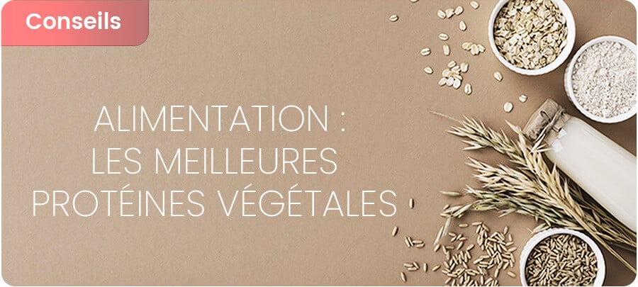 Les meilleures sources de protéines végétales