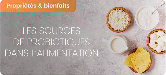 Les probiotiques naturels dans l’alimentation