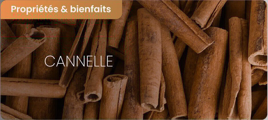 Cannelle : bienfaits et dangers