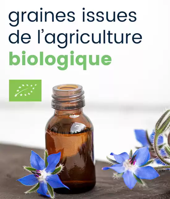 Acide gamma linolénique