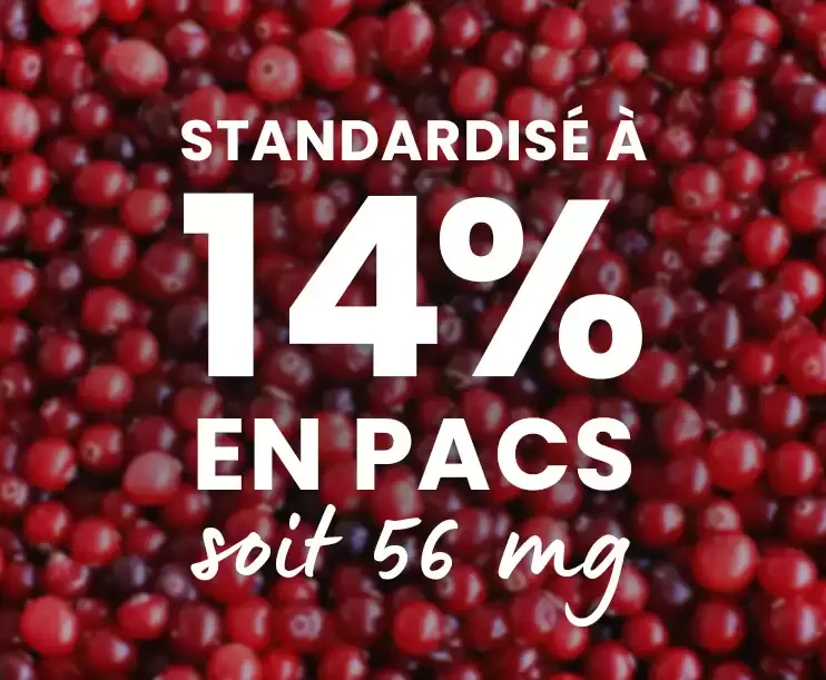 canneberge 40 mg pacs
