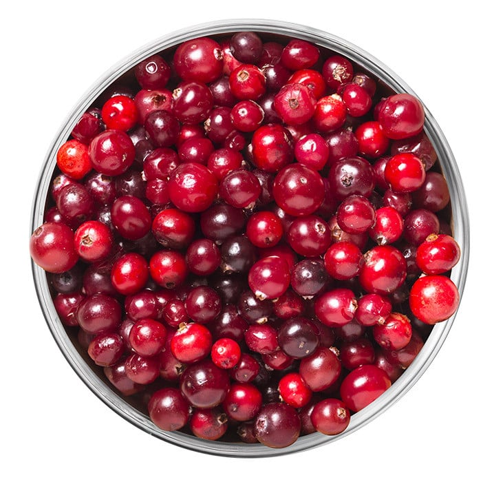 Canneberge cranberry