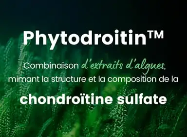 chondroitine sulfate phytodroitine
