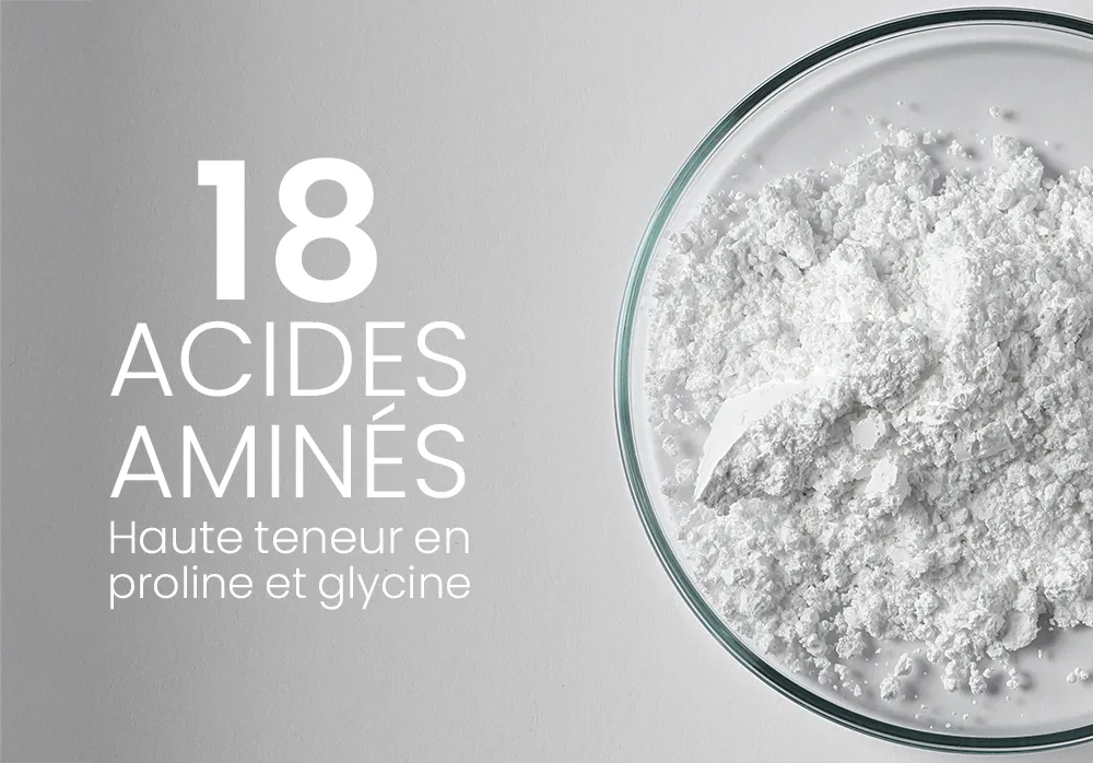 collagène acide aminé