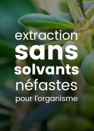hydroxytyrosol pur