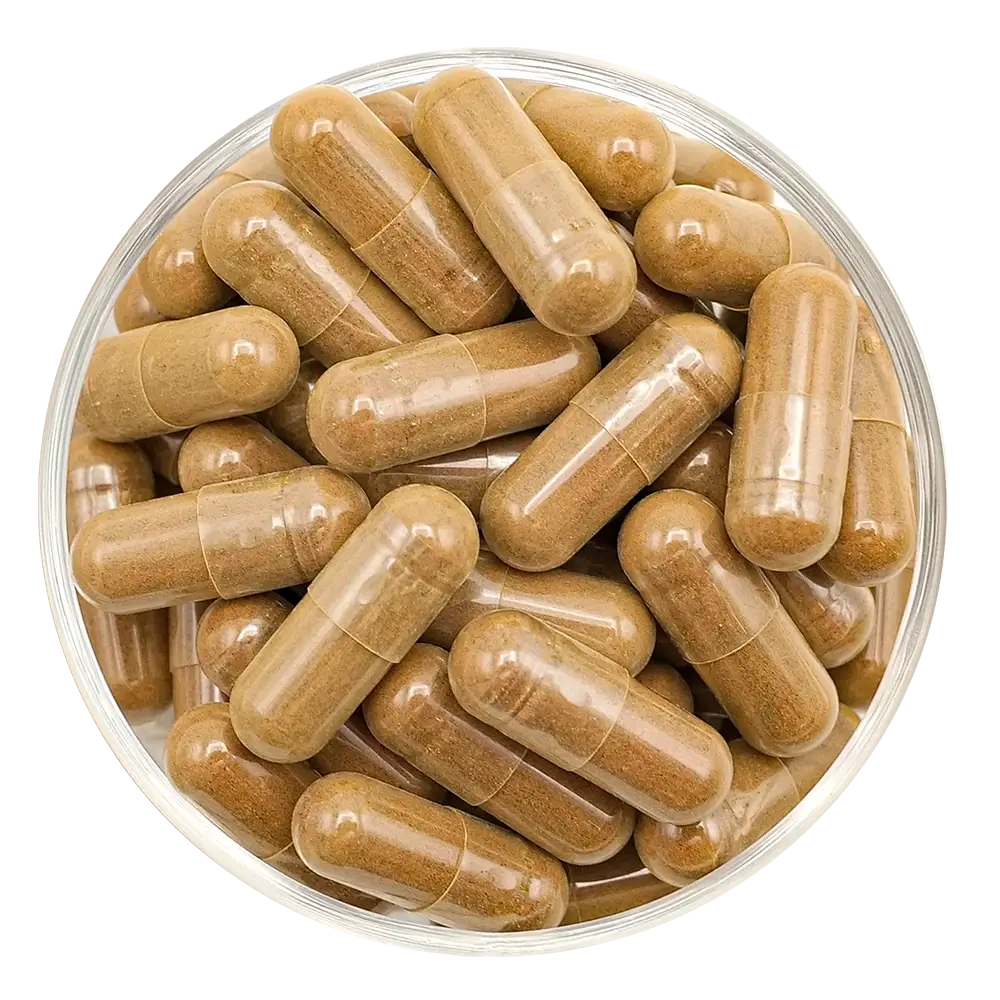 Complexe ménopause en gélules