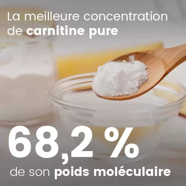 Meilleure carnitine