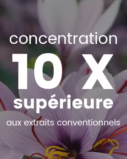 Safran concentré