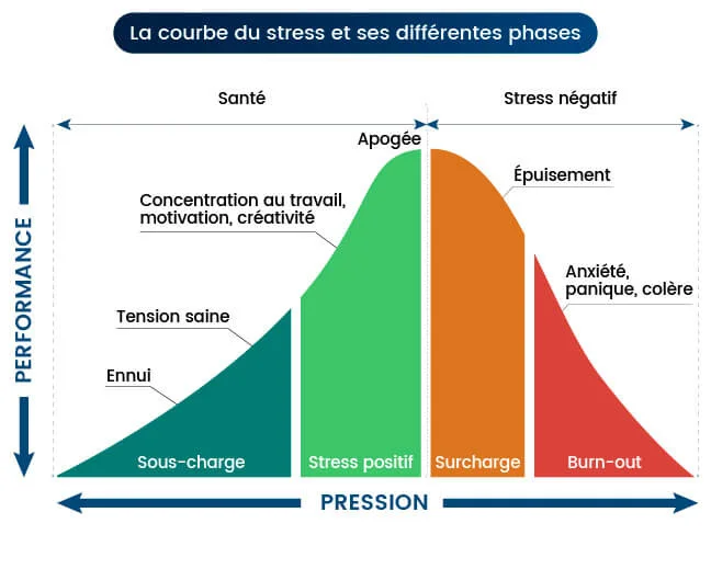 La courbe du stress