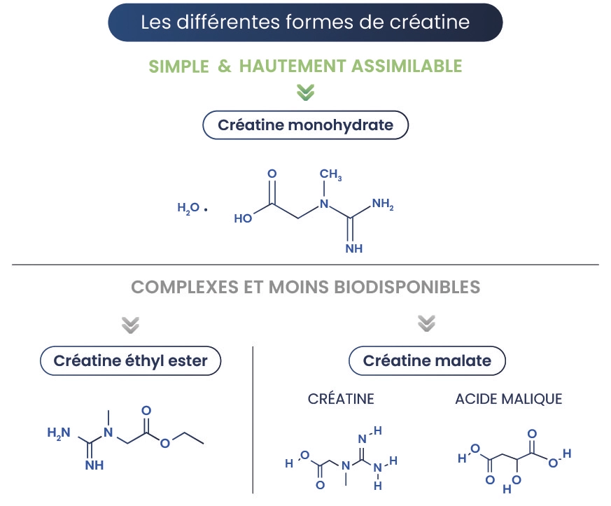 Créatine monohydrate