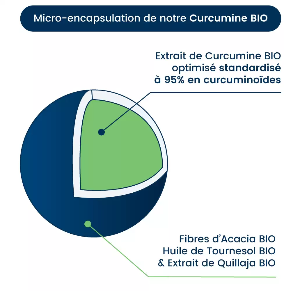 Curcuma articulation