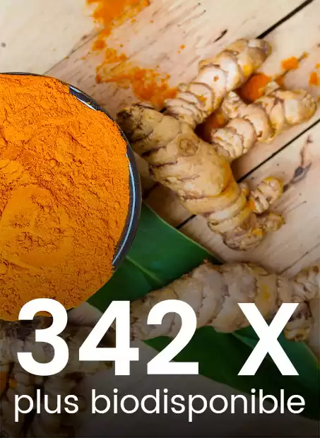 curcumine bio disponible