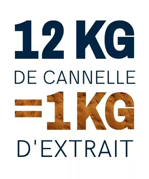 extrait de cannelle