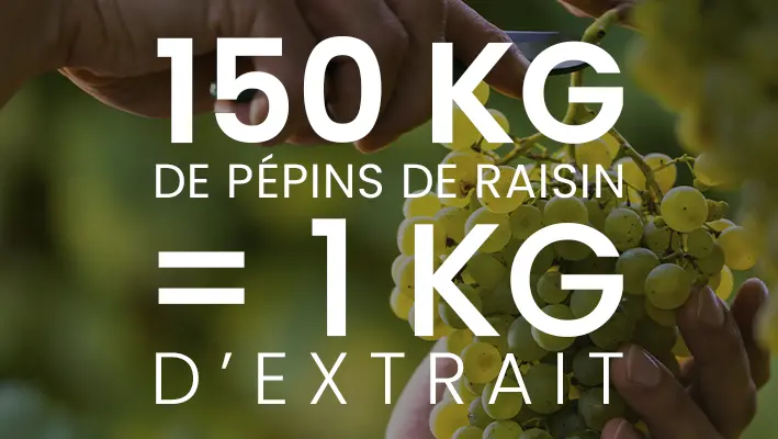 OPC de raisin