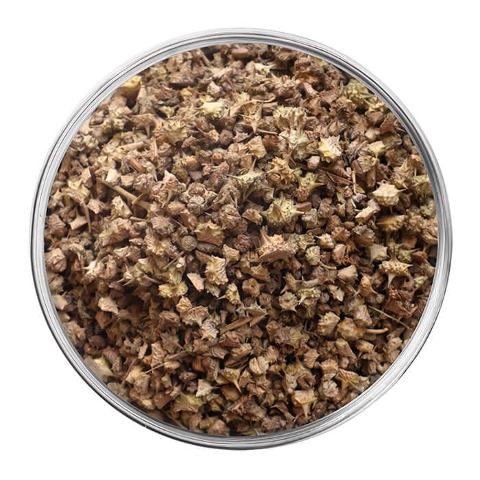 extrait tribulus terrestris