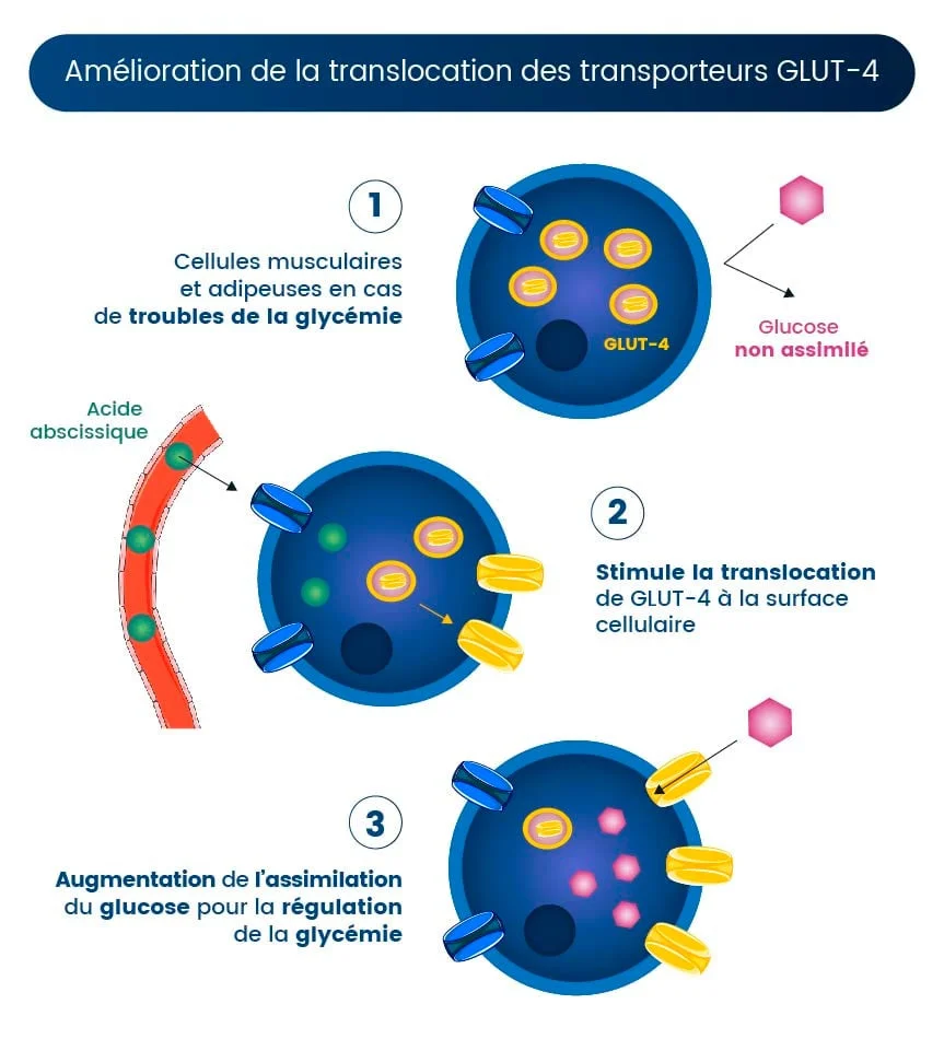 figue titrée en acide abscissique