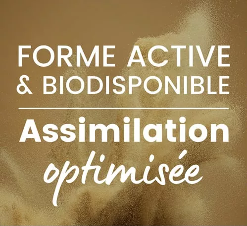 Vitamines b forme active