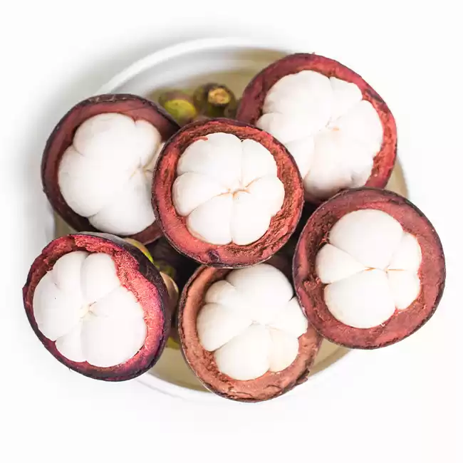 Fruit garcinia cambogia 